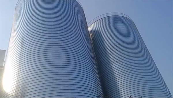 顺昌2座混凝土高架卷板仓